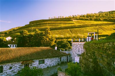 Douro Tal
